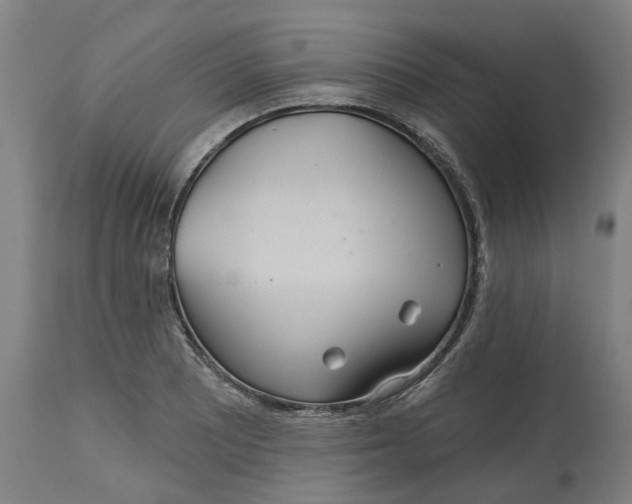 X0000114721081200911121727