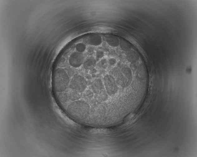 X0000114721083200911121727