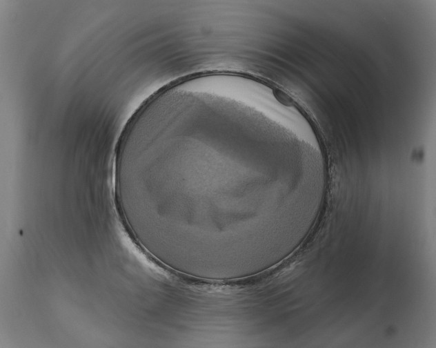 X0000114721084200911121727