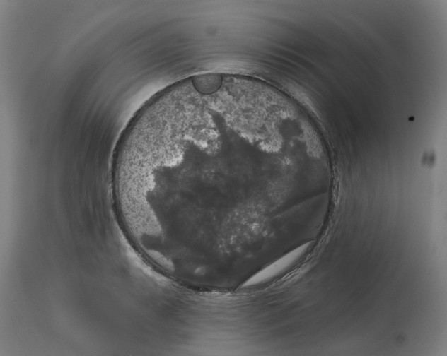 X0000114721087200911121727