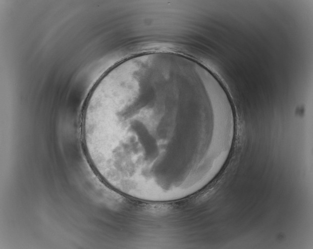 X0000114721090200911121727