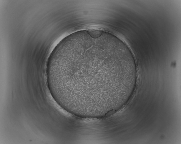 X0000114721091200911121727