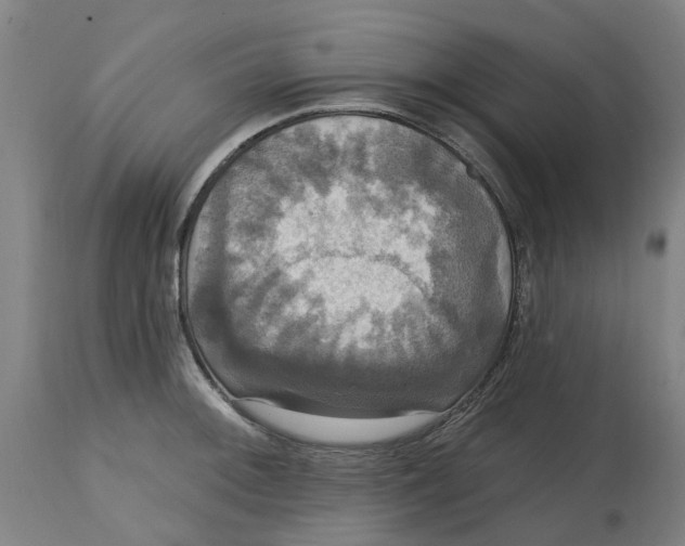 X0000114721092200911121727