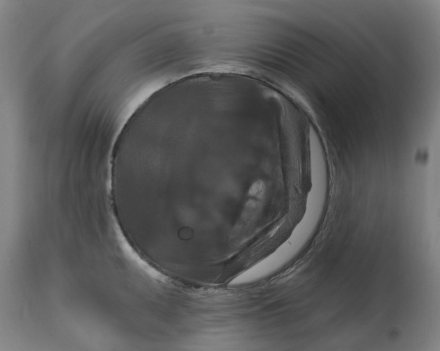 X0000114721095200911121727