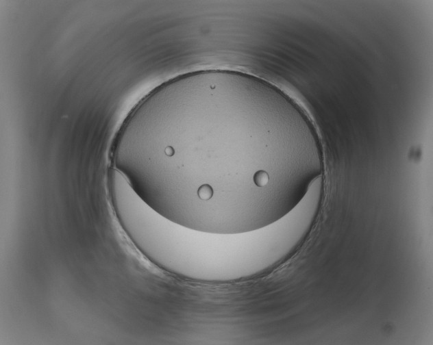 X0000114721096200911121727