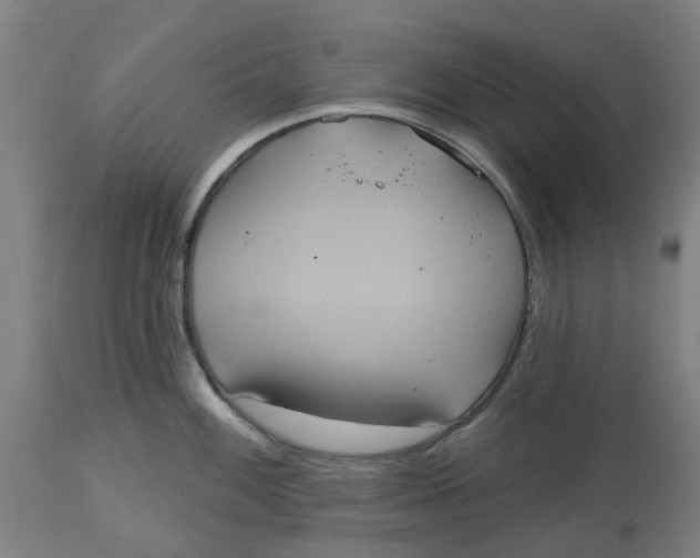 X0000114721100200911121727