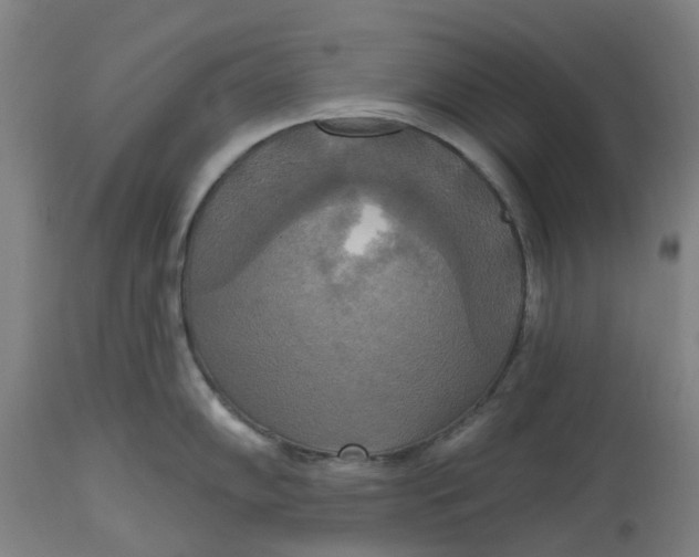 X0000114721102200911121727