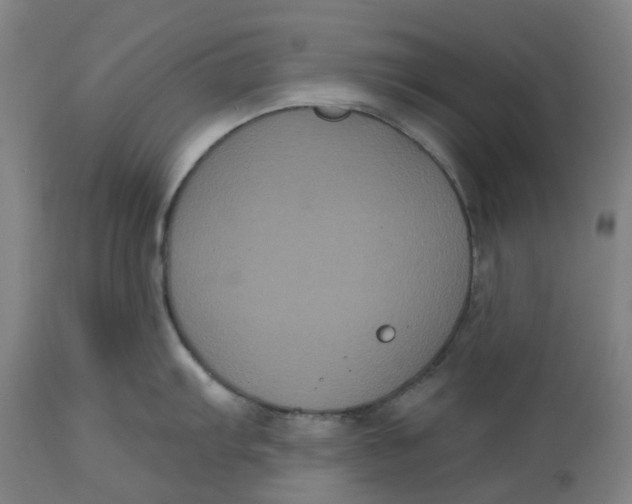 X0000114721103200911121727