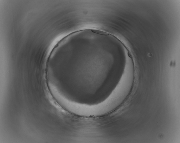 X0000114721104200911121727