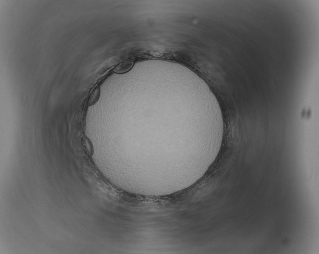 X0000114721105200911121726