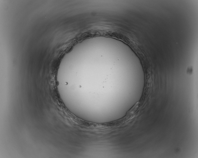 X0000114721109200911121726