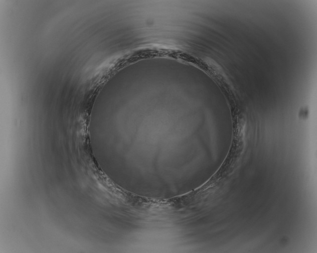 X0000114721110200911121726