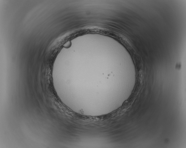 X0000114721111200911121726