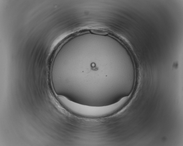 X0000114721114200911121726