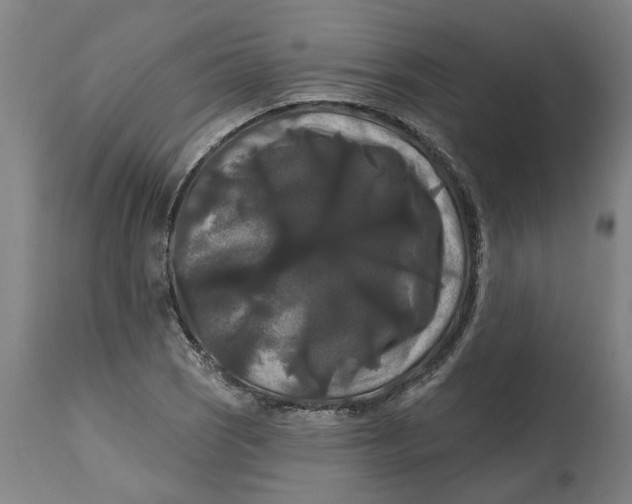 X0000114721121200911121727