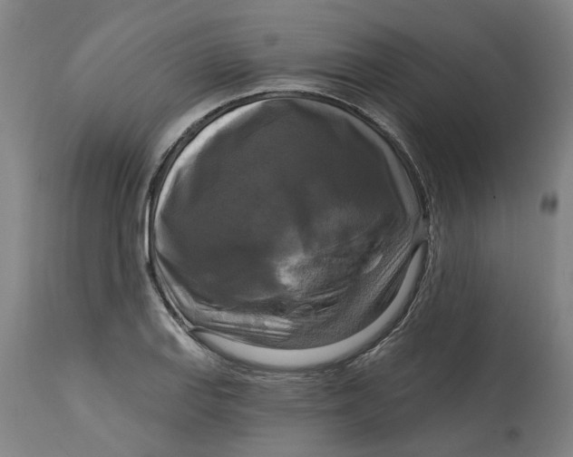 X0000114721127200911121727