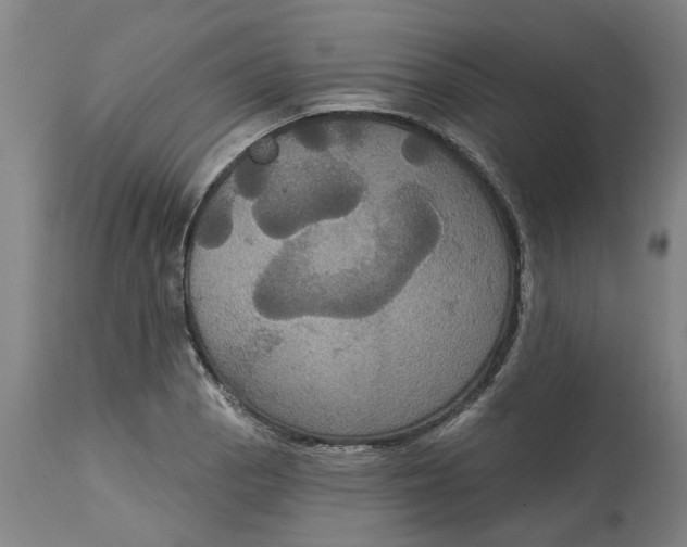 X0000114721129200911121727