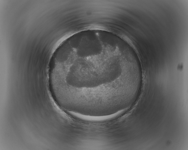 X0000114721133200911121727