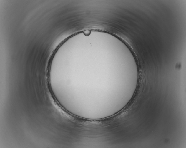 X0000114721135200911121727