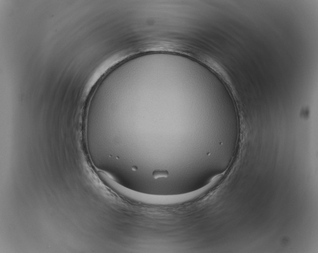 X0000114721138200911121727