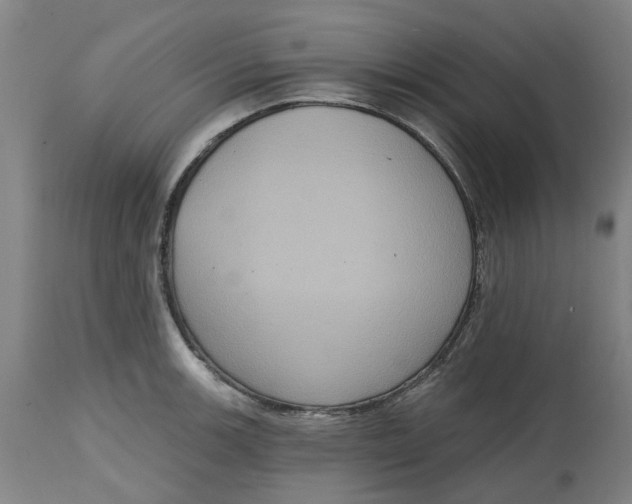 X0000114721139200911121727