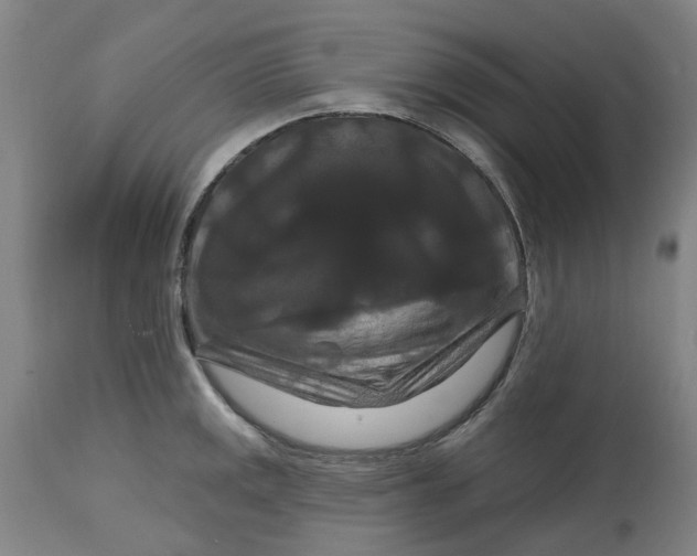 X0000114721141200911121727