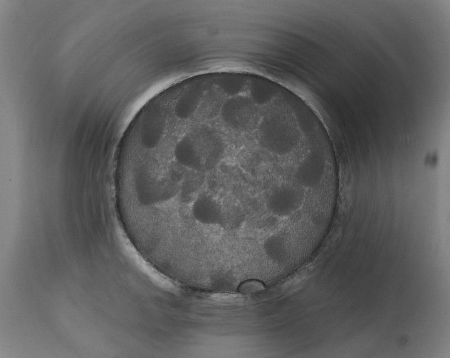 X0000114721142200911121727