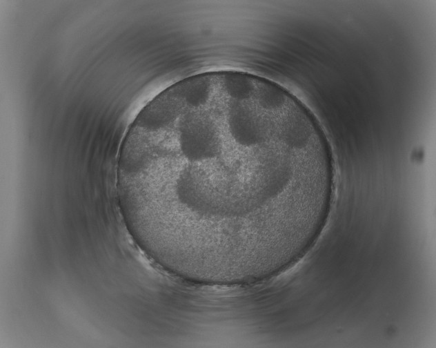 X0000114721145200911121727