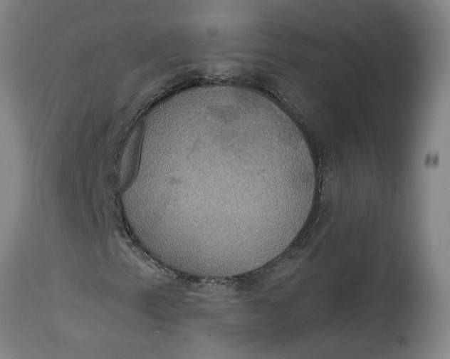 X0000114721153200911121726