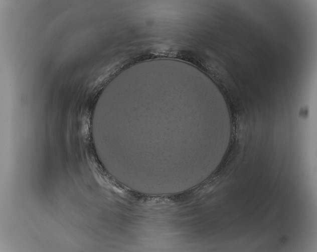 X0000114721154200911121726