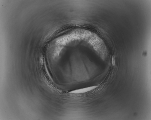 X0000114721155200911121726