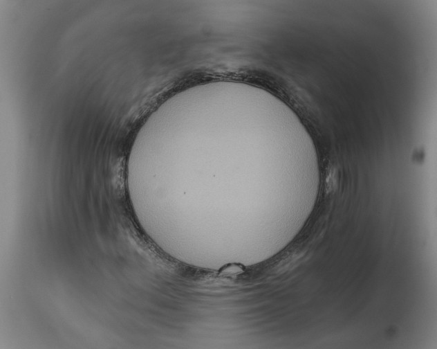 X0000114721156200911121726