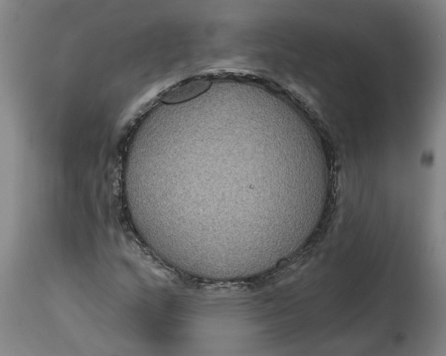 X0000114721159200911121726