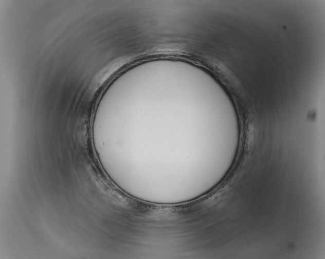 X0000114721162200911121726