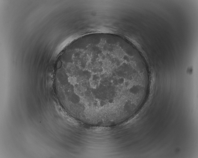 X0000114721163200911121726