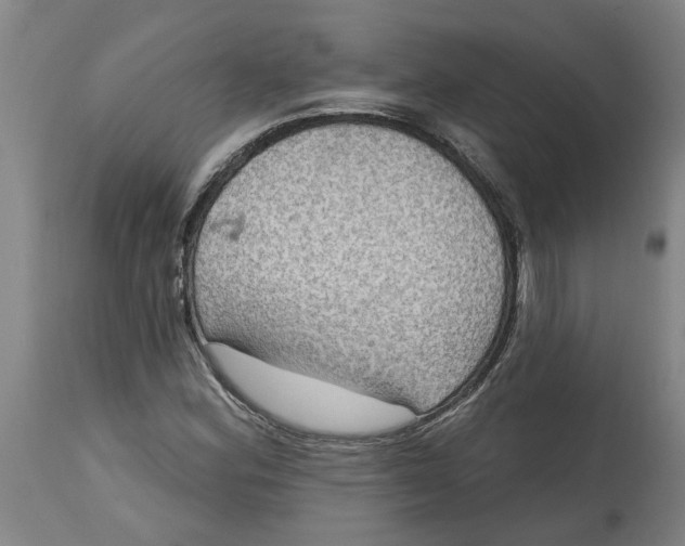 X0000114721164200911121726