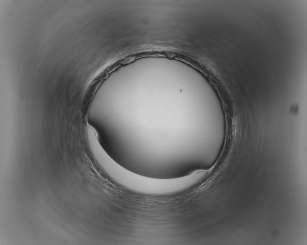 X0000114721165200911121726