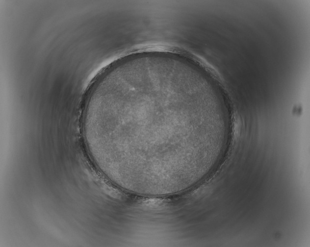 X0000114721166200911121726