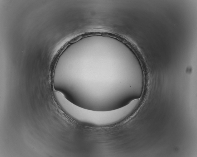 X0000114721167200911121726