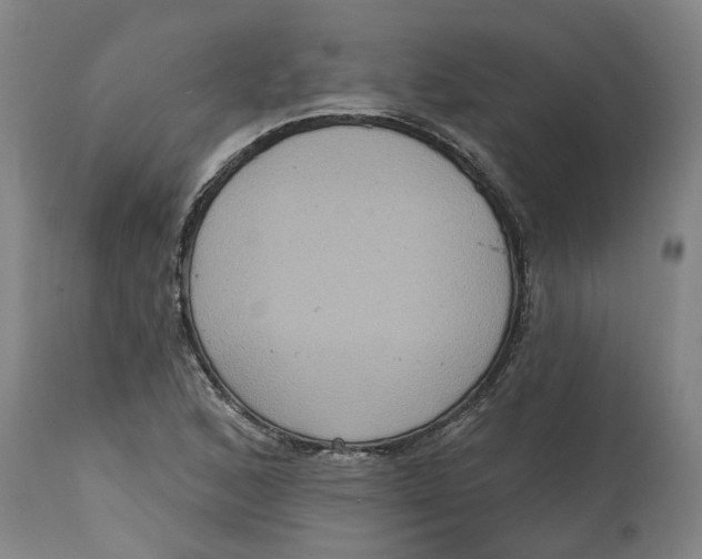 X0000114721168200911121726