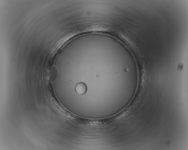 X0000114721169200911121726