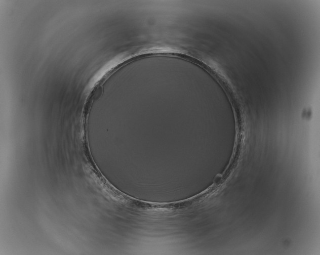 X0000114721173200911121726