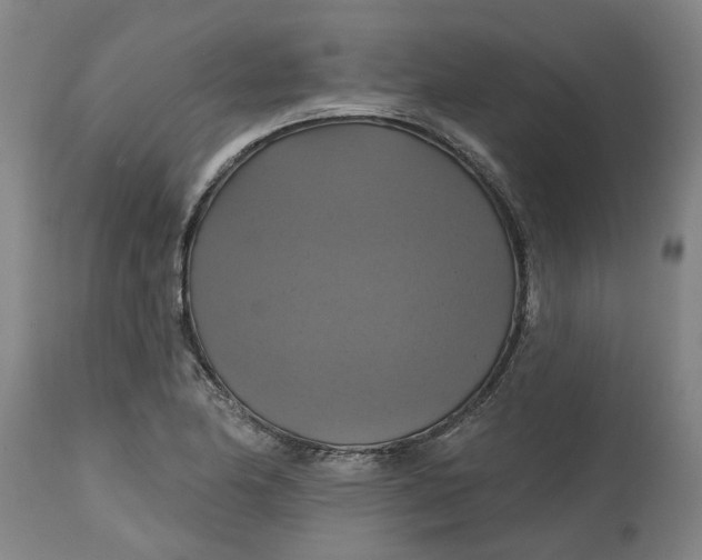 X0000114721174200911121726