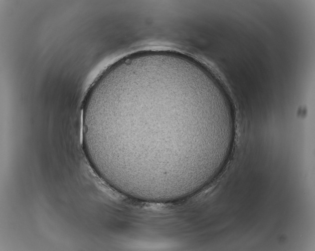 X0000114721175200911121726