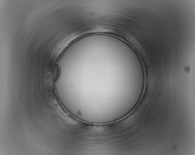 X0000114721177200911121726