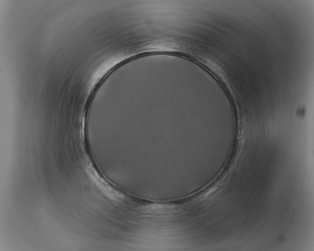 X0000114721179200911121726