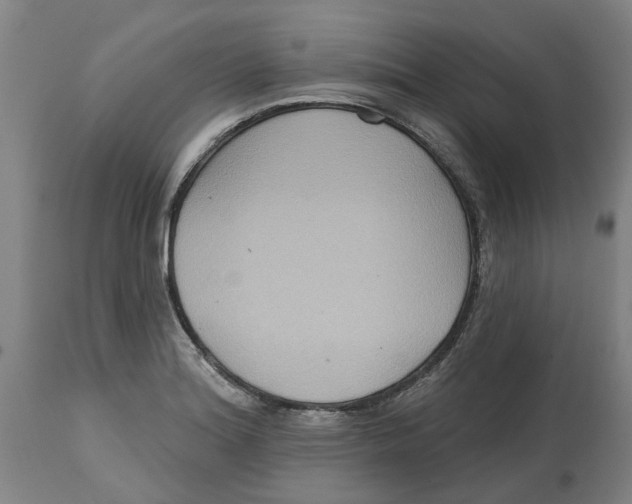 X0000114721180200911121726