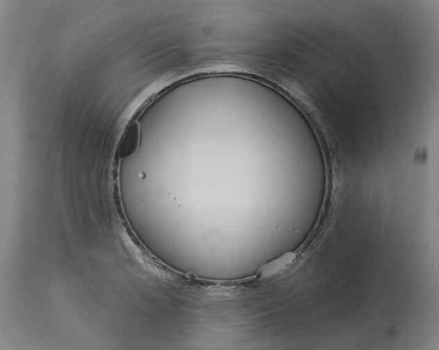 X0000114721181200911121726