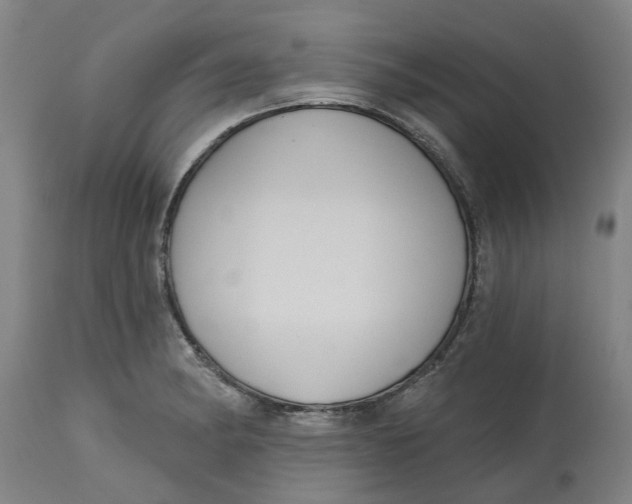 X0000114721182200911121726