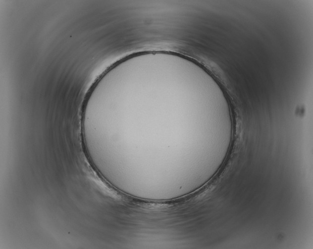 X0000114721184200911121726